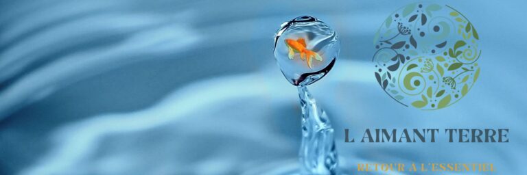 Comme un poisson dans l'eau !